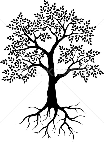 black tree silhouette for your design Stock photo © jawa123