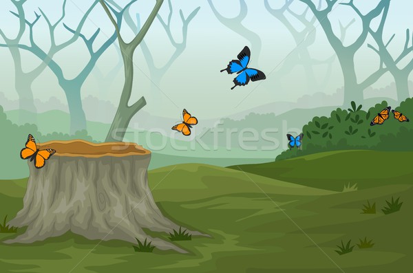 funny butterfly with deep forest landscape background Stock photo © jawa123