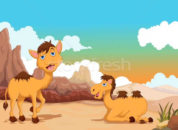 Vicces kettő teve rajz sivatag tájkép Stock fotó © jawa123