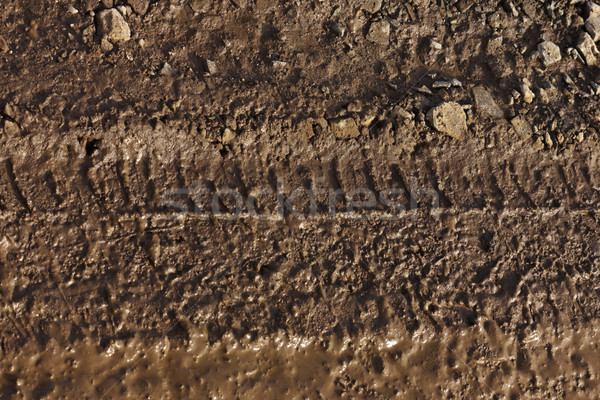 Anvelopă model maro noroi rutier Imagine de stoc © jaycriss