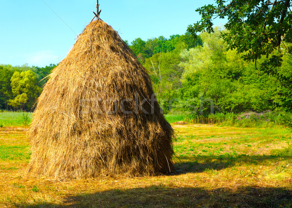Close-up of a single big haystack near forest Stock photo © jaycriss
