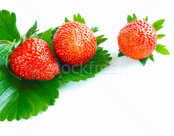 Drei frischen lebendige Erdbeeren Erdbeere Stock foto © jaycriss