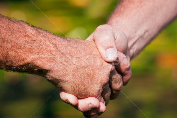 Firma Handshake zwei Männer freundlich Business Stock foto © jaykayl