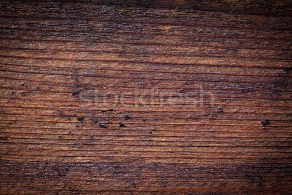 Marrón primer plano textura árbol pared Foto stock © jaykayl