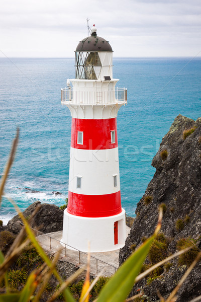 商業照片: 燈塔 · 新西蘭 · 美麗 ·北·島