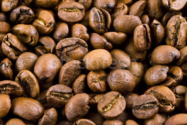 Granos de café orgánico fondo frescos Foto stock © jaykayl