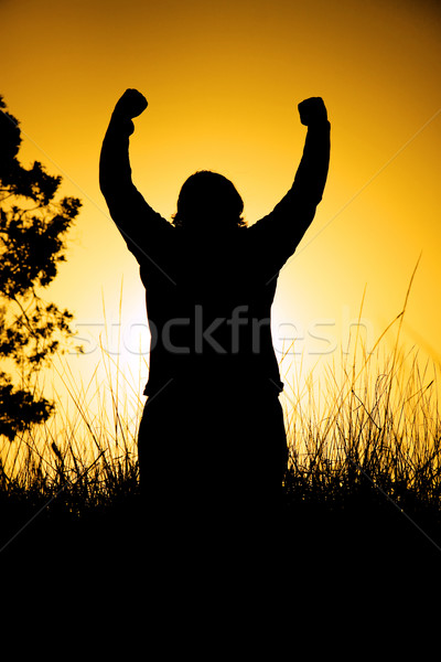 Sonnenuntergang Triumph Person Silhouette Hände Luft Stock foto © jaykayl