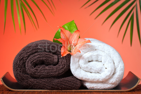 Lujo bano toallas spa masaje naturaleza muerta Foto stock © jaykayl