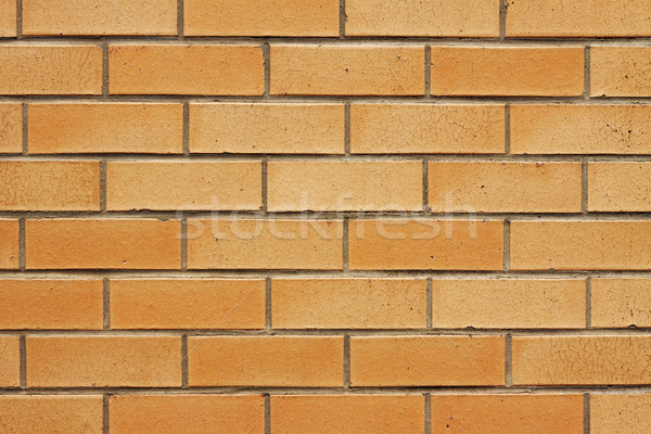 Primer plano pared de ladrillo imagen naranja casa edificio Foto stock © jaykayl