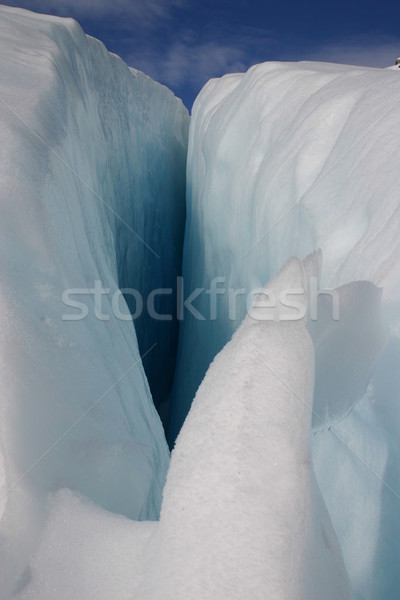 Fox Glacier - New Zealand Stock photo © jeayesy