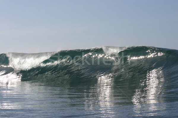 Krachtig golf Samoa schone hand vat Stockfoto © jeayesy