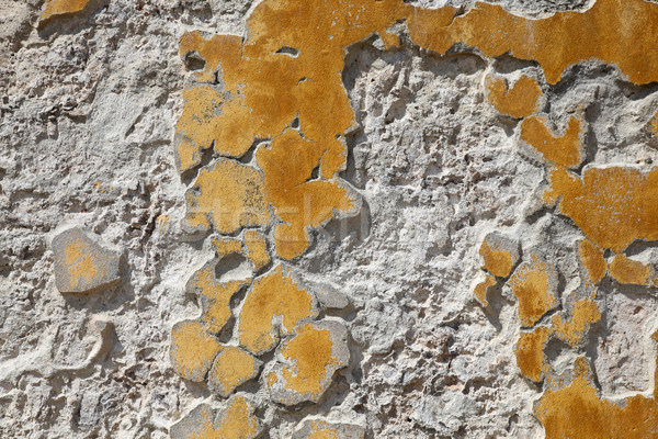 Crumbling Wall Stock photo © jeayesy