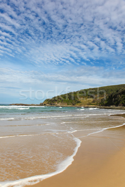 Parque central costa Austrália belo dia Foto stock © jeayesy