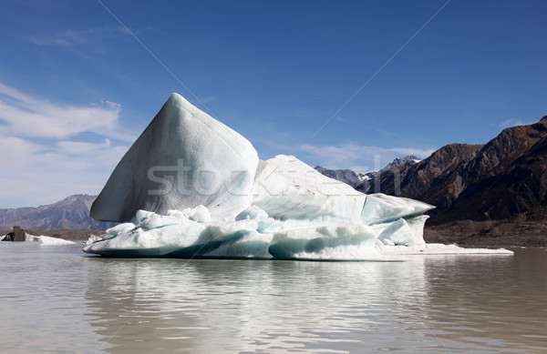 Iceberg lago Neozelandese ghiacciaio uno pochi Foto d'archivio © jeayesy