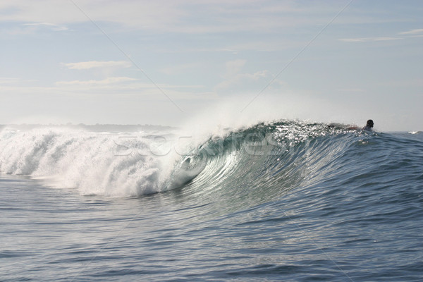 Samoan wave Stock photo © jeayesy