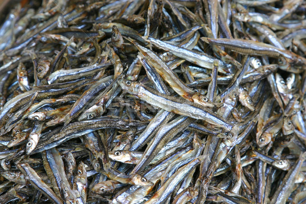 Dried fish Stock photo © jeayesy