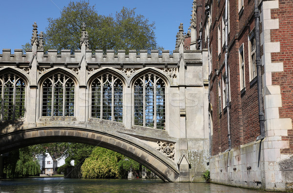 моста Кембридж Англии покрытый крестов реке Сток-фото © jeayesy