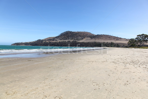 Siedem plaży tasmania charakter piasku horyzoncie Zdjęcia stock © jeayesy