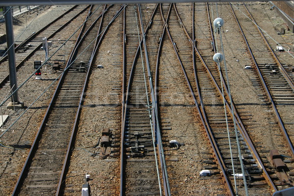 Train tracks Stock photo © jeayesy