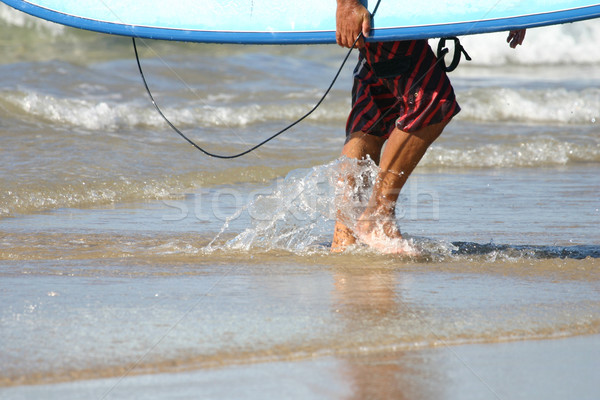 Finito surf surfer foglie acqua estate Foto d'archivio © jeayesy