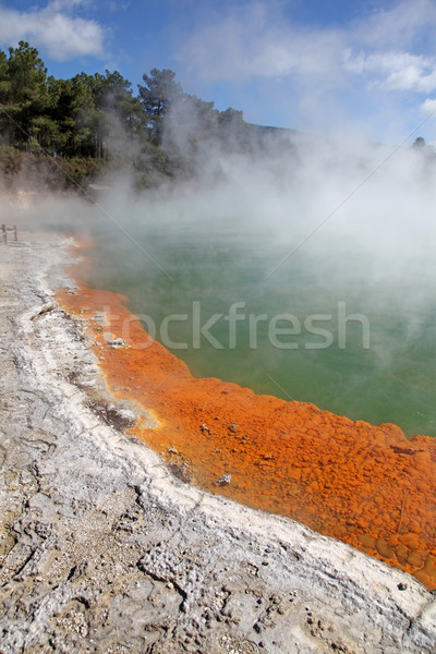 Pezsgő medence csodaország Új-Zéland gyönyörű népszerű Stock fotó © jeayesy