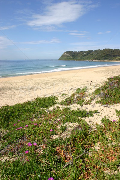 Dudley Beach - Newcastle Australia Stock photo © jeayesy
