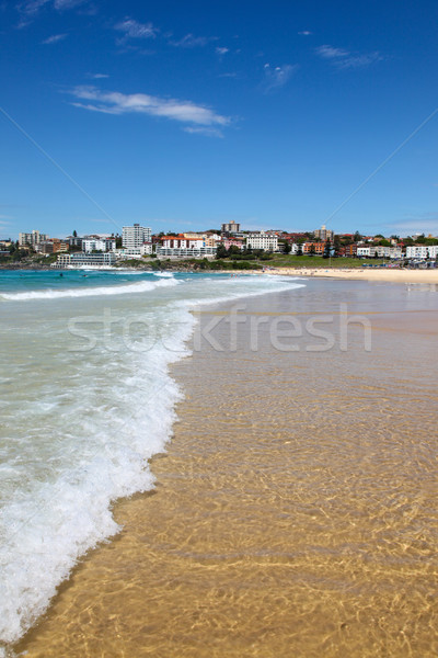 Strand een beroemd stranden kort reis Stockfoto © jeayesy