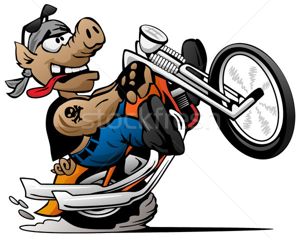 Biker hog popping a wheelie on a motorcycle cartoon vector illustration Stock photo © jeff_hobrath