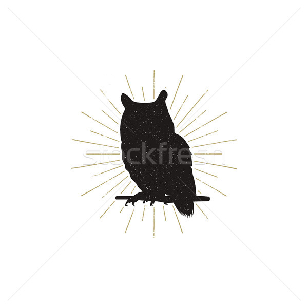 Owl silhouette shape isolated on white background. Black animal icon. Solid template with sunbursts Stock photo © JeksonGraphics