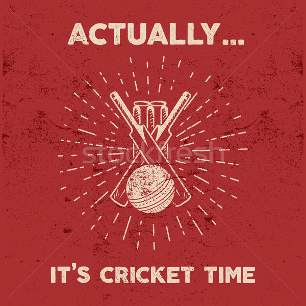 ретро крикет клуба эмблема дизайна логотип Сток-фото © JeksonGraphics