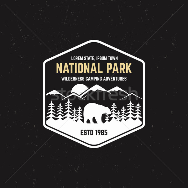 Stamp for national park, outdoor camp. Tourism hipster style patch, badge. Expedition emblem. Winter Stock photo © JeksonGraphics