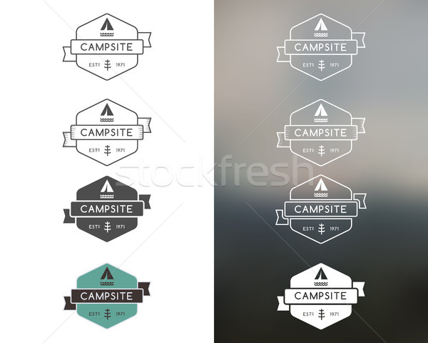 Set of outdoor adventure and forest camp, hiking badge logo, emblem logo, label design. Monochrome,  Stock photo © JeksonGraphics