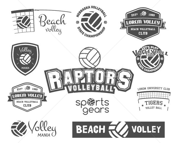 Volleyball labels, badges, logo and icons set. Sports insignias. Best for volley club, sport shops,  Stock photo © JeksonGraphics