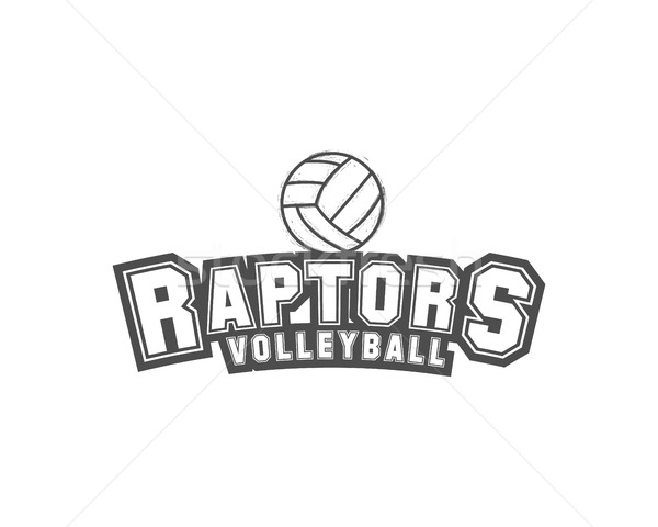 Stock foto: Volleyball · Label · Abzeichen · logo · Symbol · Sport