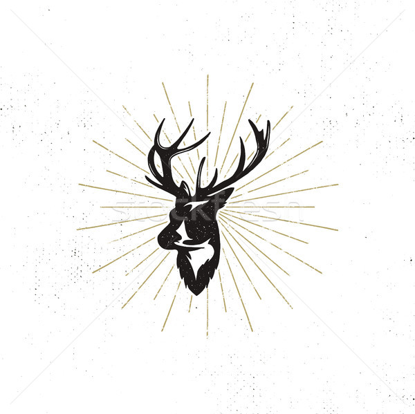 Hand drawn deer s head label. Vintage black vector silhouette of Deer head with antlers, sunbursts i Stock photo © JeksonGraphics