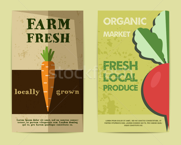 Set of Stylish Farm Fresh flyer, template or brochure design with carrot and radish. Mock up design. Stock photo © JeksonGraphics