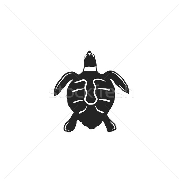 turtle silhouette shape. Wild animal black icon. Stock vector illustration. Vintage hand drawn style Stock photo © JeksonGraphics