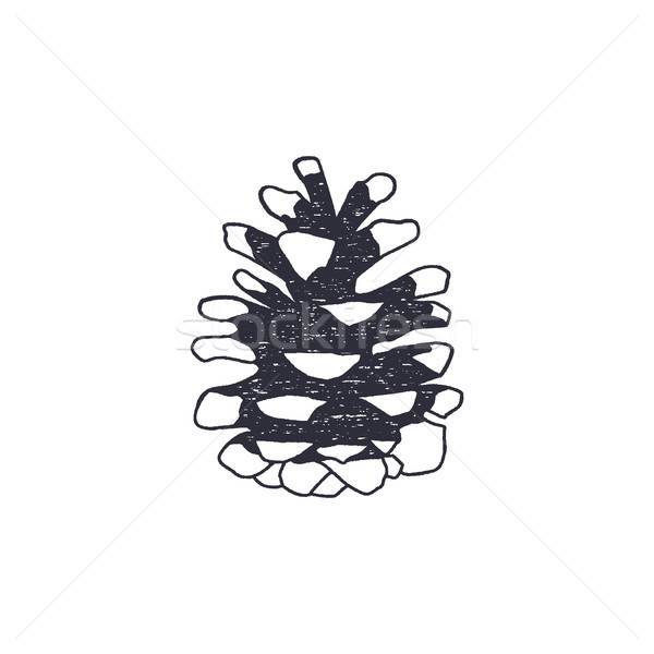 Vintage hand drawn conifer cone shape. Retro monochrome icon. Can be used for t shirts, prints, logo Stock photo © JeksonGraphics