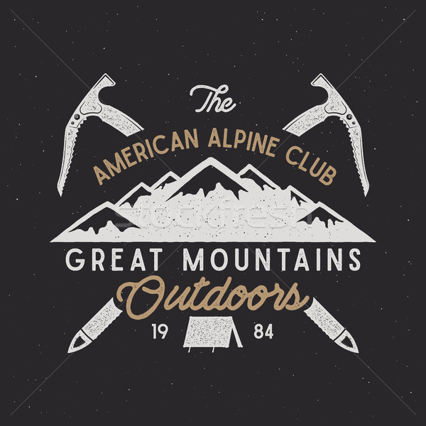 Bağbozumu alpine rozet tırmanma logo vektör Stok fotoğraf © JeksonGraphics