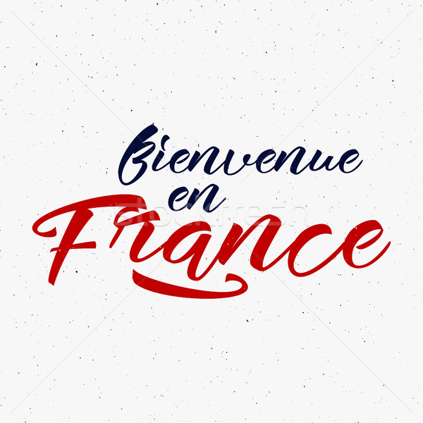 Bienvenue en France label. 2016 Soccer emblem, Football overlay, tournament logo. Championship, leag Stock photo © JeksonGraphics
