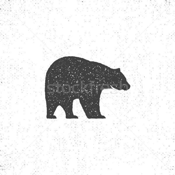 Vintage orso mascotte simbolo icona grezzo Foto d'archivio © JeksonGraphics