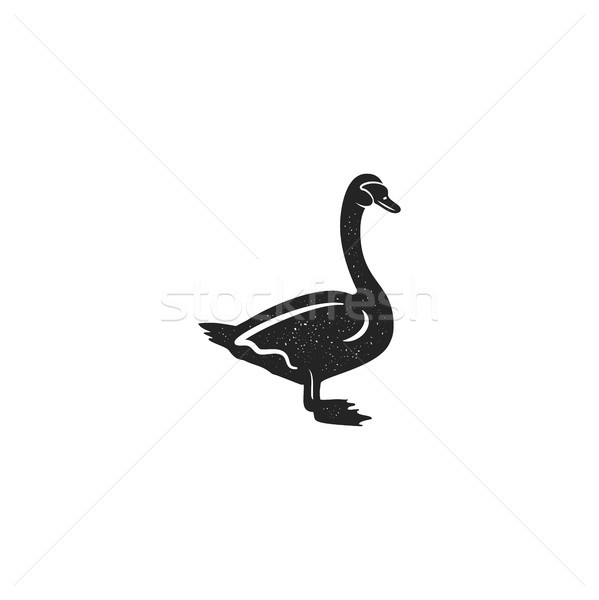 Swan silhouette shape. Vintage hand drawn wild animal icon, symbol isolated on white background. Sto Stock photo © JeksonGraphics