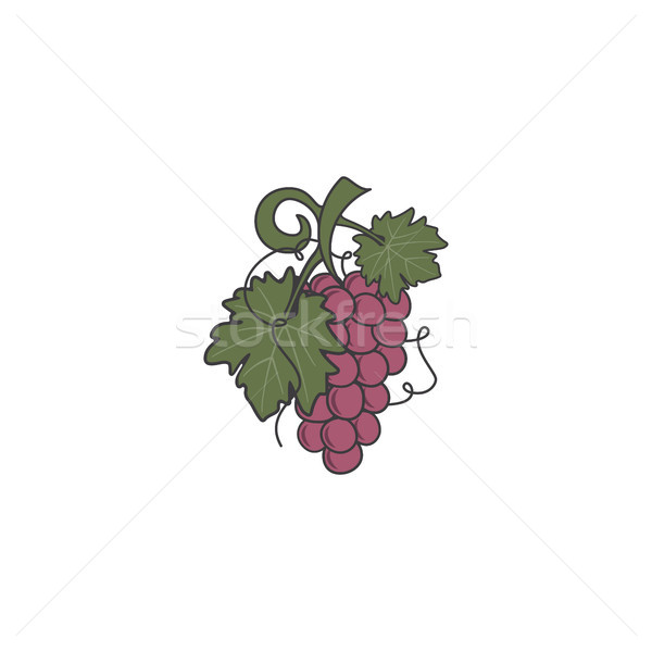 Red Grape icon. Cute flat colors design. Friut symbol for logo, label or badge. Stock illustration i Stock photo © JeksonGraphics