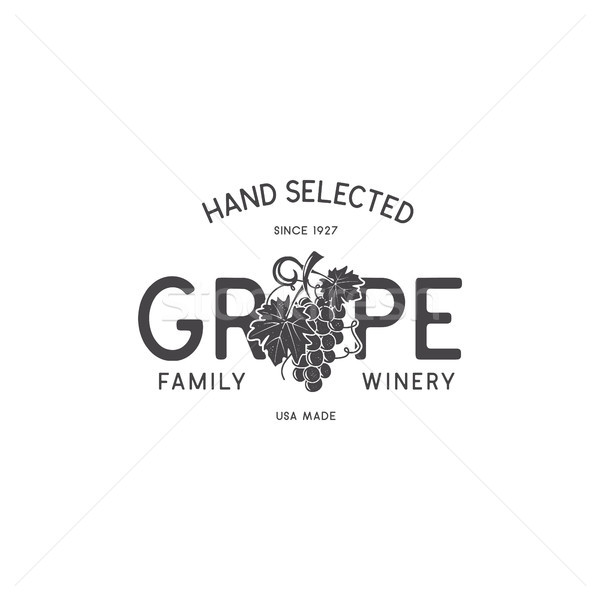 Family Wine shop, winery logo template concept. Vine, leaf and typography design. Stock vector emble Stock photo © JeksonGraphics