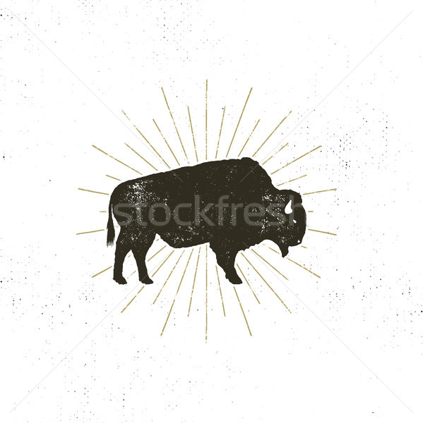 bison icon silhouette. Retro letterpress effect. Buffalo symbol with sunbursts isolated on white bac Stock photo © JeksonGraphics