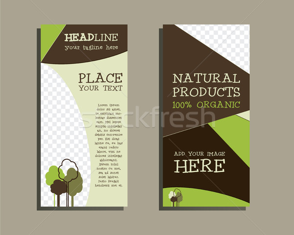 Organic Brochure Template. Stock photo © JeksonGraphics