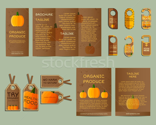 Natural business corporate identity design with pumpkin. Branding your organic company. Brochure. Mo Stock photo © JeksonGraphics