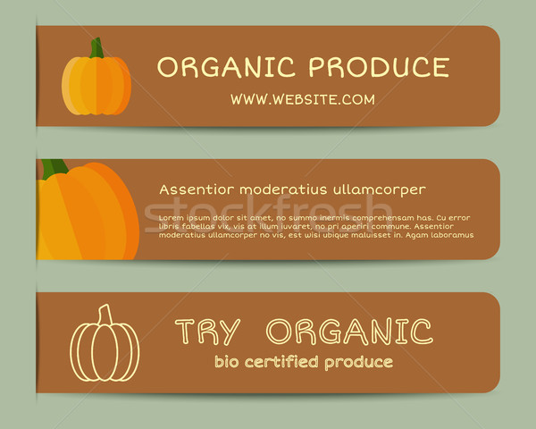 Summerm autumn Farm Fresh branding identity elements. Pumpkin banners templates. Organic, bio design Stock photo © JeksonGraphics