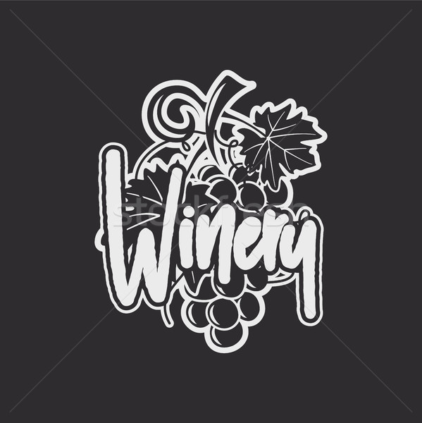 Wine, winery logo template. Drink, alcoholic graffiti art, beverage symbol. Vine icon and typography Stock photo © JeksonGraphics