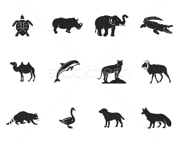 Wild animal figures and shapes collection isolated on white background. Black silhouettes turtle, rh Stock photo © JeksonGraphics